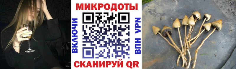 Галлюциногенные грибы Magic Shrooms  где купить наркоту  Гагарин 